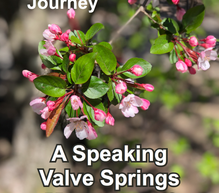 Speaking Valve Springs Hope for Person with COVID-19
