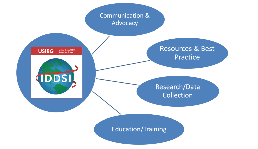USIRG United States IDDSI reference group has four committees shown here: Communication & Advocacy, Resources & Best Practice, Research/Data Collection, and Education/Training