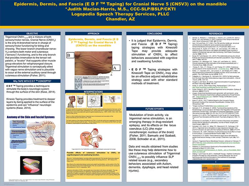 Poster presented at the Kinesio Symposium November, 2015, Japan. Epidermis, Dermis, and Fascia (E D F TM Taping) for Cranial Nerve 5 (CN5V3) on the mandible.