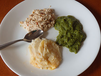 three pureed food items on a plate. We need to test foods for safety, but we also need to realize that people eat with their eyes too.