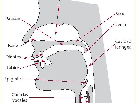 Spanish resources for dysphagia