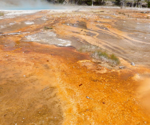Bright red, orange and brown coloring comes from bacteria that can thrive in the run-off of geysers and hot springs.