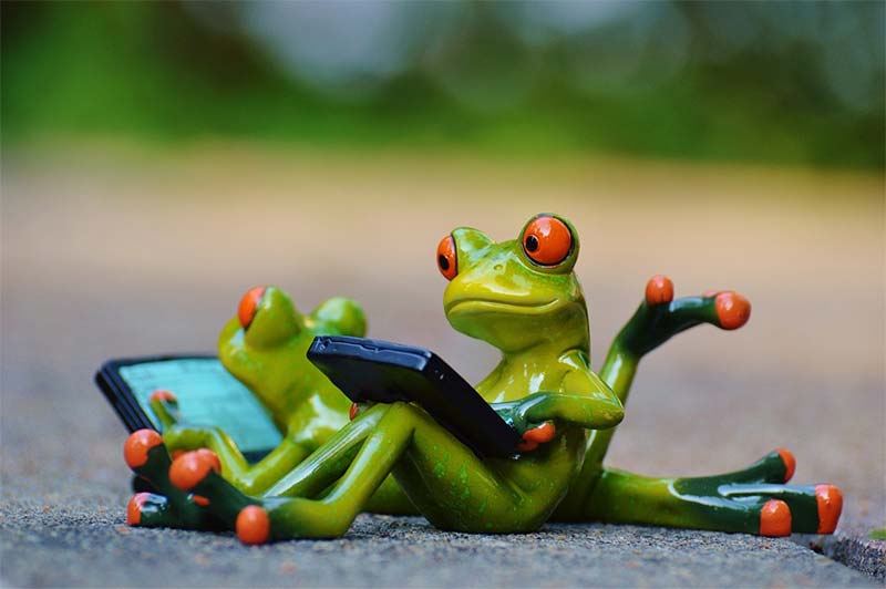 Cute frogs remind therapists that documentation is everything in our changing healthcare climate, especially with ICD-10-CM and ICD-10-PCS