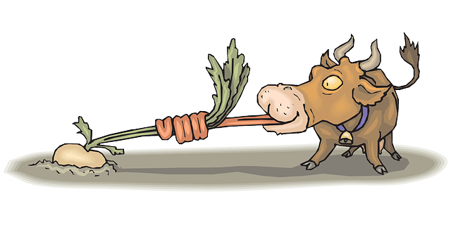 Funny picture of cow pulling out a root vegetable with his tongue. Tongue exercises are important part of dysphagia treatment for many people with difficulty swallowing (dysphagia).